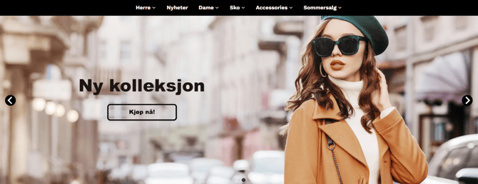 Skjermbilde 2025-08-22 134309