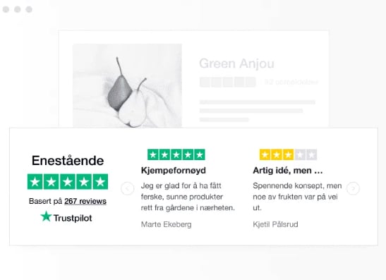 Trustpilot Business Samle inn anmeldelser av kundeservice og produkter 2022-06-22 12-24-27
